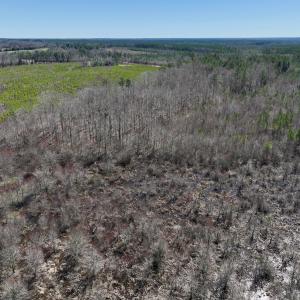 Photo #18 of SOLD property in Off NC Highway 43, Macon, NC 5.0 acres