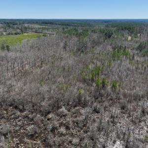 Photo #19 of SOLD property in Off NC Highway 43, Macon, NC 5.0 acres