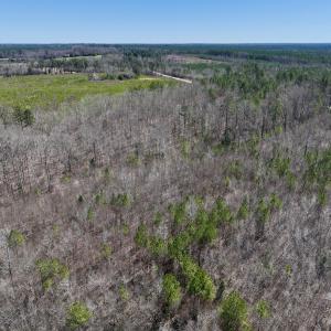 Photo #20 of SOLD property in Off NC Highway 43, Macon, NC 5.0 acres