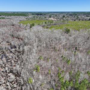 Photo #21 of SOLD property in Off NC Highway 43, Macon, NC 5.0 acres