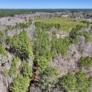 Photo #6 of SOLD property in Off NC Highway 43, Macon, NC 5.0 acres