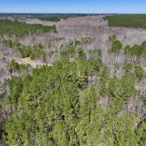 Photo #7 of SOLD property in Off NC Highway 43, Macon, NC 5.0 acres