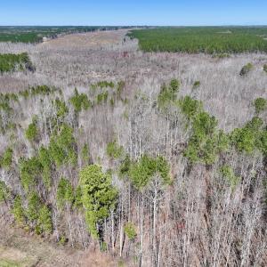Photo #8 of SOLD property in Off NC Highway 43, Macon, NC 5.0 acres