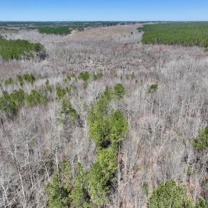 Photo #9 of SOLD property in Off NC Highway 43, Macon, NC 5.0 acres