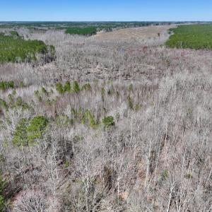 Photo #10 of SOLD property in Off NC Highway 43, Macon, NC 5.0 acres