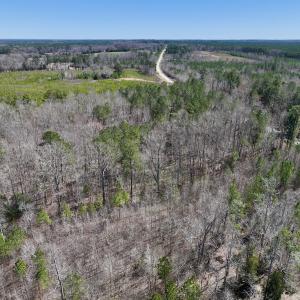 Photo #22 of SOLD property in Off NC Highway 43, Macon, NC 5.0 acres