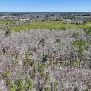 Photo #23 of SOLD property in Off NC Highway 43, Macon, NC 5.0 acres