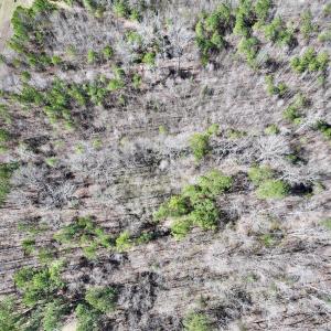 Photo #25 of SOLD property in Off NC Highway 43, Macon, NC 5.0 acres