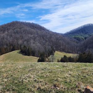 Photo #2 of SOLD property in Off Mt. Herman Rd, Middlebrook, VA 243.1 acres