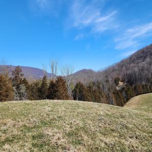Photo #3 of SOLD property in Off Mt. Herman Rd, Middlebrook, VA 243.1 acres