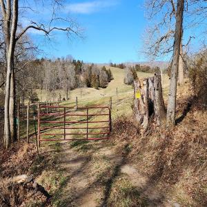Photo #5 of SOLD property in Off Mt. Herman Rd, Middlebrook, VA 243.1 acres