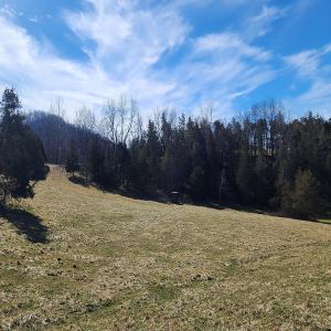 Photo #6 of SOLD property in Off Mt. Herman Rd, Middlebrook, VA 243.1 acres