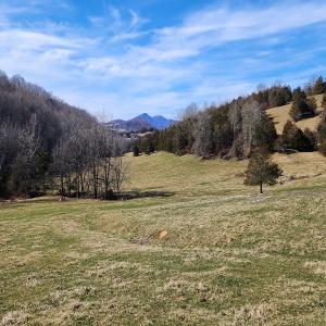 Photo #7 of SOLD property in Off Mt. Herman Rd, Middlebrook, VA 243.1 acres