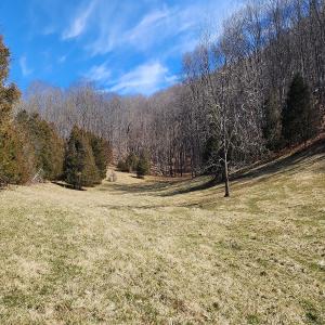 Photo #8 of SOLD property in Off Mt. Herman Rd, Middlebrook, VA 243.1 acres