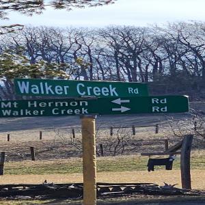 Photo #12 of SOLD property in Off Mt. Herman Rd, Middlebrook, VA 243.1 acres