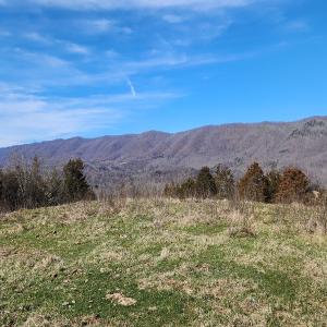 Photo #13 of SOLD property in Off Mt. Herman Rd, Middlebrook, VA 243.1 acres