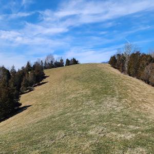 Photo #14 of SOLD property in Off Mt. Herman Rd, Middlebrook, VA 243.1 acres