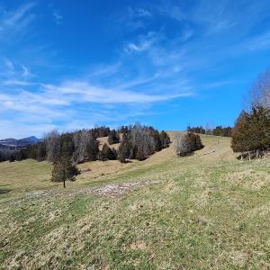 Photo #15 of SOLD property in Off Mt. Herman Rd, Middlebrook, VA 243.1 acres