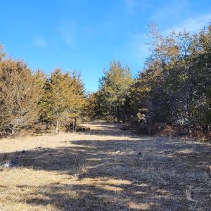 Photo #18 of SOLD property in Off Mt. Herman Rd, Middlebrook, VA 243.1 acres