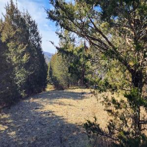 Photo #19 of SOLD property in Off Mt. Herman Rd, Middlebrook, VA 243.1 acres