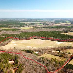 Photo #3 of SOLD property in 30093 Millfield Rd, Wakefield, VA 89.5 acres