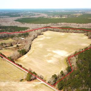 Photo #7 of SOLD property in 30093 Millfield Rd, Wakefield, VA 89.5 acres