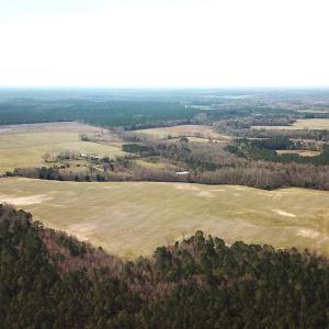 Photo #8 of SOLD property in 30093 Millfield Rd, Wakefield, VA 89.5 acres