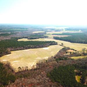Photo #9 of SOLD property in 30093 Millfield Rd, Wakefield, VA 89.5 acres