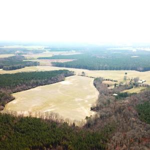 Photo #10 of SOLD property in 30093 Millfield Rd, Wakefield, VA 89.5 acres