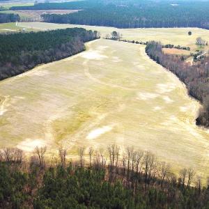 Photo #11 of SOLD property in 30093 Millfield Rd, Wakefield, VA 89.5 acres
