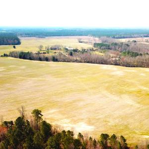 Photo #12 of SOLD property in 30093 Millfield Rd, Wakefield, VA 89.5 acres