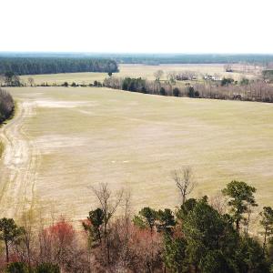Photo #13 of SOLD property in 30093 Millfield Rd, Wakefield, VA 89.5 acres