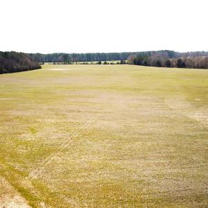 Photo #14 of SOLD property in 30093 Millfield Rd, Wakefield, VA 89.5 acres