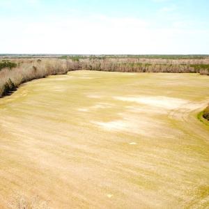Photo #15 of SOLD property in 30093 Millfield Rd, Wakefield, VA 89.5 acres