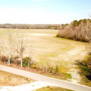 Photo #16 of SOLD property in 30093 Millfield Rd, Wakefield, VA 89.5 acres