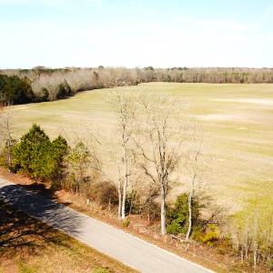 Photo #17 of SOLD property in 30093 Millfield Rd, Wakefield, VA 89.5 acres