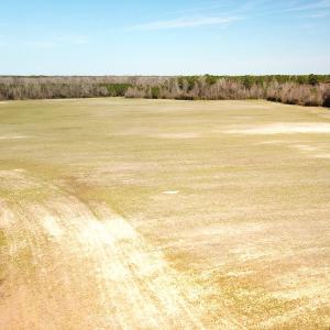 Photo #18 of SOLD property in 30093 Millfield Rd, Wakefield, VA 89.5 acres