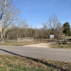 Photo #24 of SOLD property in 30093 Millfield Rd, Wakefield, VA 89.5 acres