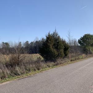 Photo #25 of SOLD property in 30093 Millfield Rd, Wakefield, VA 89.5 acres
