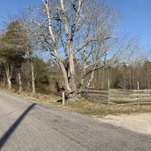 Photo #26 of SOLD property in 30093 Millfield Rd, Wakefield, VA 89.5 acres