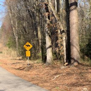 Photo #27 of SOLD property in 30093 Millfield Rd, Wakefield, VA 89.5 acres