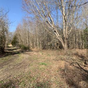 Photo #31 of SOLD property in 30093 Millfield Rd, Wakefield, VA 89.5 acres