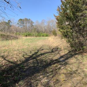 Photo #34 of SOLD property in 30093 Millfield Rd, Wakefield, VA 89.5 acres