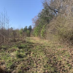 Photo #35 of SOLD property in 30093 Millfield Rd, Wakefield, VA 89.5 acres