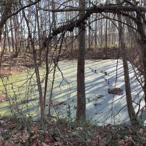 Photo #38 of SOLD property in 30093 Millfield Rd, Wakefield, VA 89.5 acres