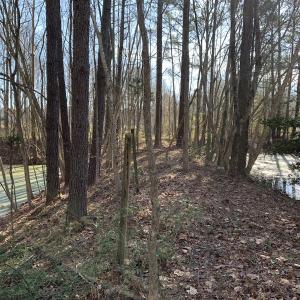 Photo #39 of SOLD property in 30093 Millfield Rd, Wakefield, VA 89.5 acres