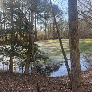Photo #40 of SOLD property in 30093 Millfield Rd, Wakefield, VA 89.5 acres