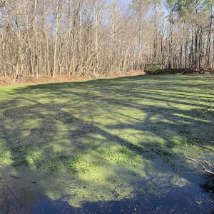 Photo #41 of SOLD property in 30093 Millfield Rd, Wakefield, VA 89.5 acres
