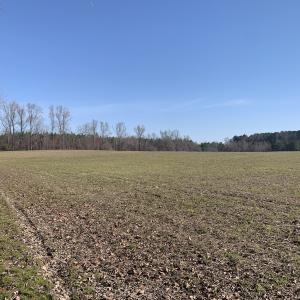 Photo #45 of SOLD property in 30093 Millfield Rd, Wakefield, VA 89.5 acres