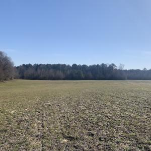 Photo #46 of SOLD property in 30093 Millfield Rd, Wakefield, VA 89.5 acres